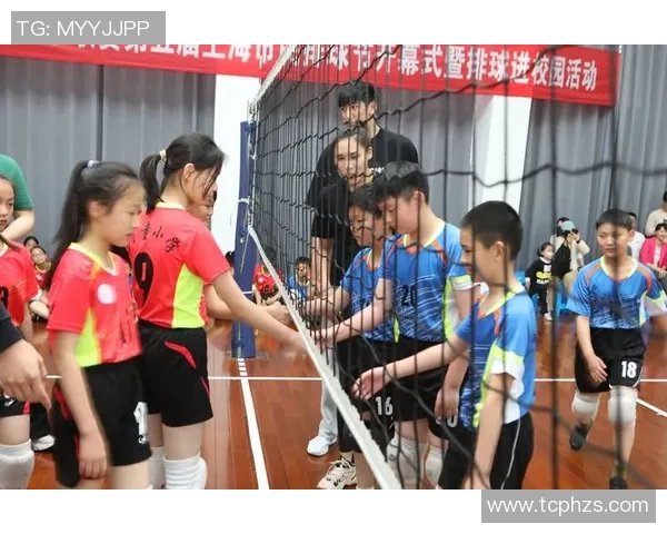 专访排球教练陈强揭秘球队成功背后的训练与策略