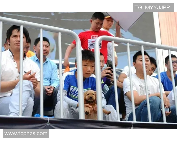 深度对话：杨娜如何在篮球世界中追寻梦想与挑战自我